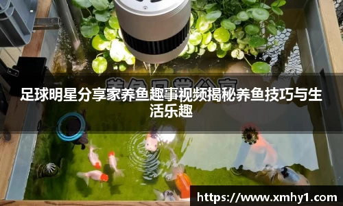 足球明星分享家养鱼趣事视频揭秘养鱼技巧与生活乐趣